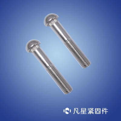 半圆头带齿螺钉、集装箱专用螺钉